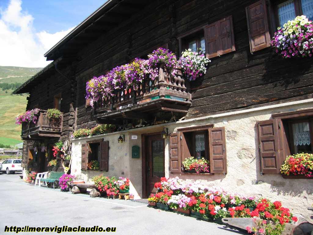 Torna al menu foto